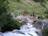 Torrent
