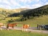 Col de Beyrde